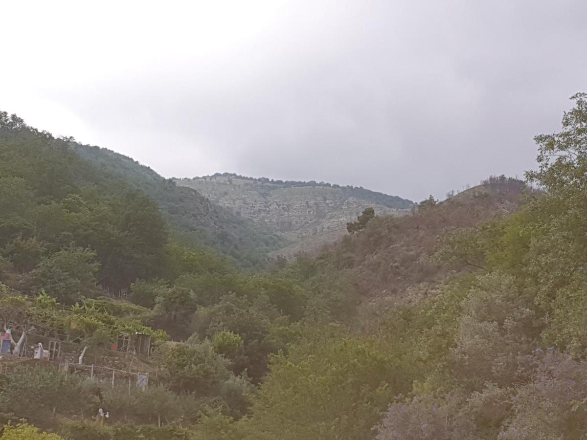 Bed & Breakfast Ca' Di Vissai Arnasco Экстерьер фото
