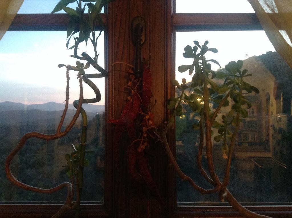 Bed & Breakfast Ca' Di Vissai Arnasco Экстерьер фото