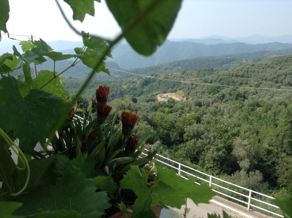 Bed & Breakfast Ca' Di Vissai Arnasco Экстерьер фото